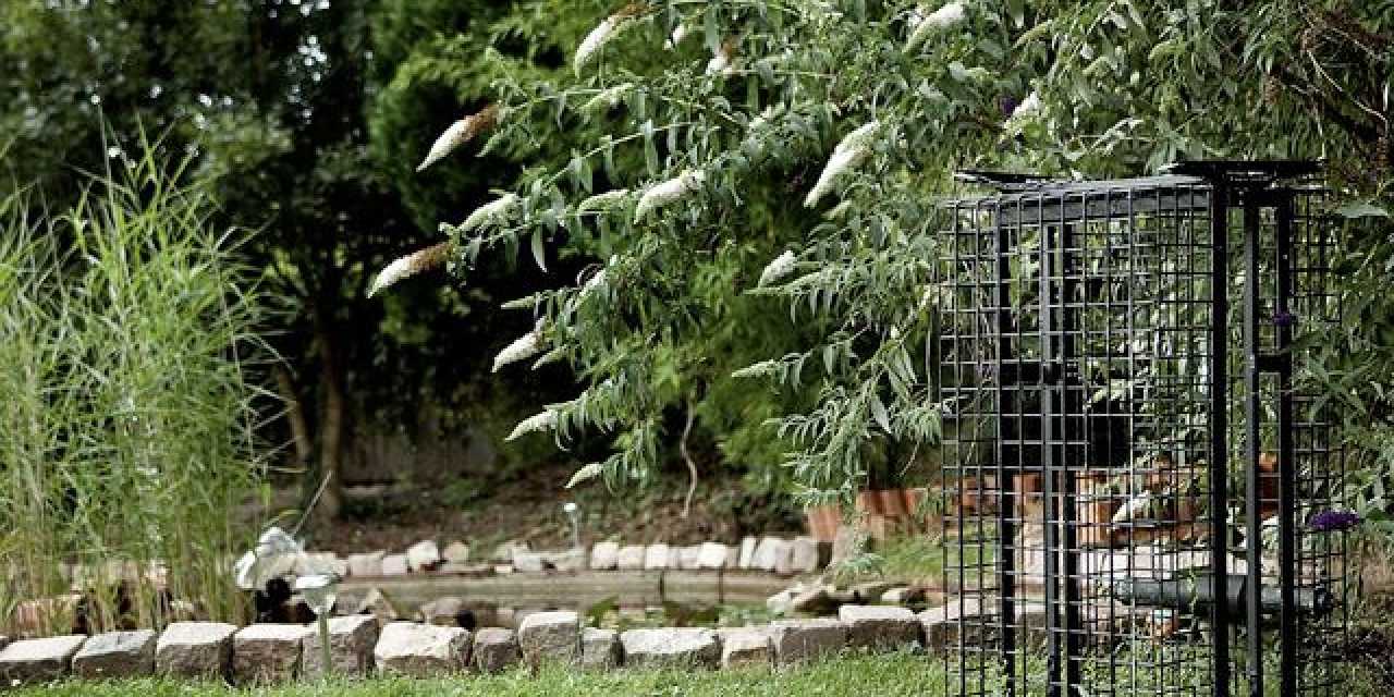 Der Villa Garten - Dominastudio TBZ in Esslingen